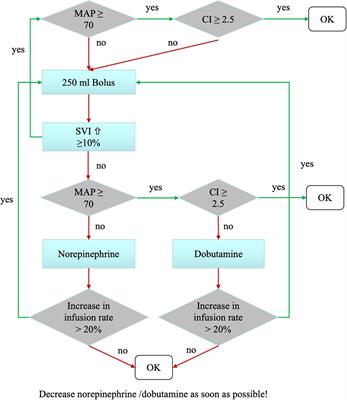 Perioperative Hemodynamic Optimization in Patients at Risk for Delirium – A Randomized-Controlled Trial